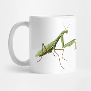 Praying Mantis Mug